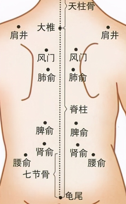 按摩眉毛的穴位有什么功效,中医养生按摩穴位视频