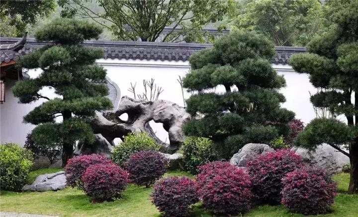 庭院摆放风水石有什么仪式,庭院置石的讲求和忌讳