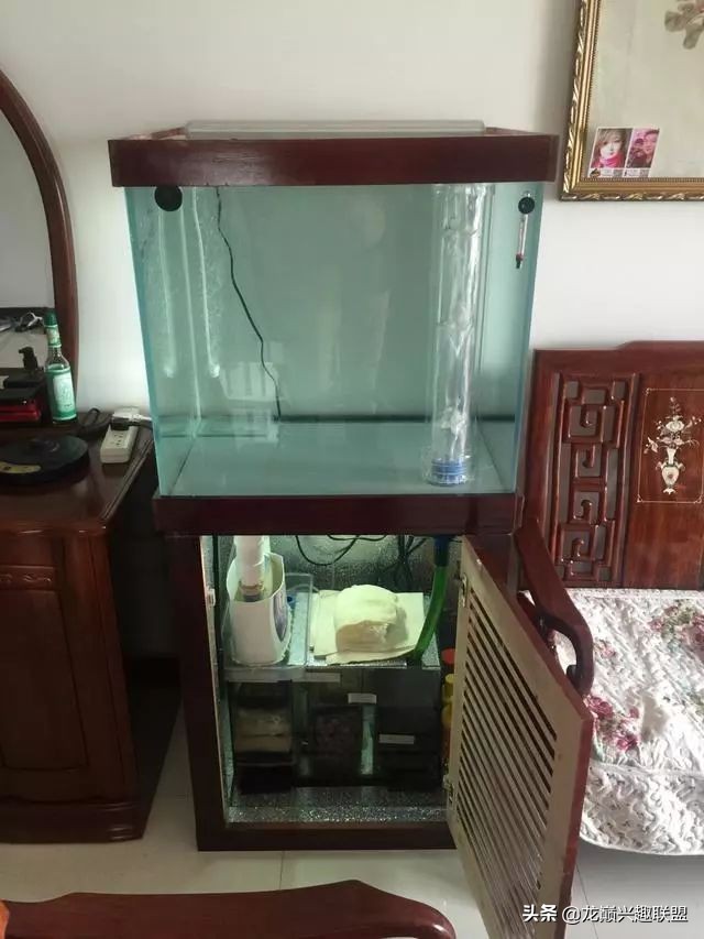 垃圾桶旁边的四方鱼缸，捡回去养了一缸金鱼，别说还挺不错