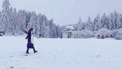 热腾腾麻辣火锅,8d魔幻山城重庆美食街
