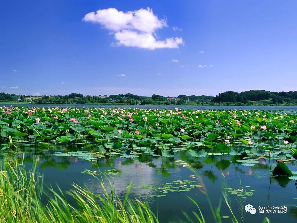 郭进拴神游索溪峪,郭进拴全部视频