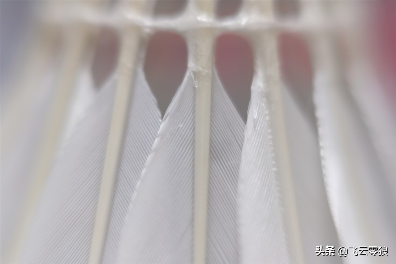 「中羽在线飞云零狼」威羽斯钻一钻二钻五评测——高性价比鹅毛球