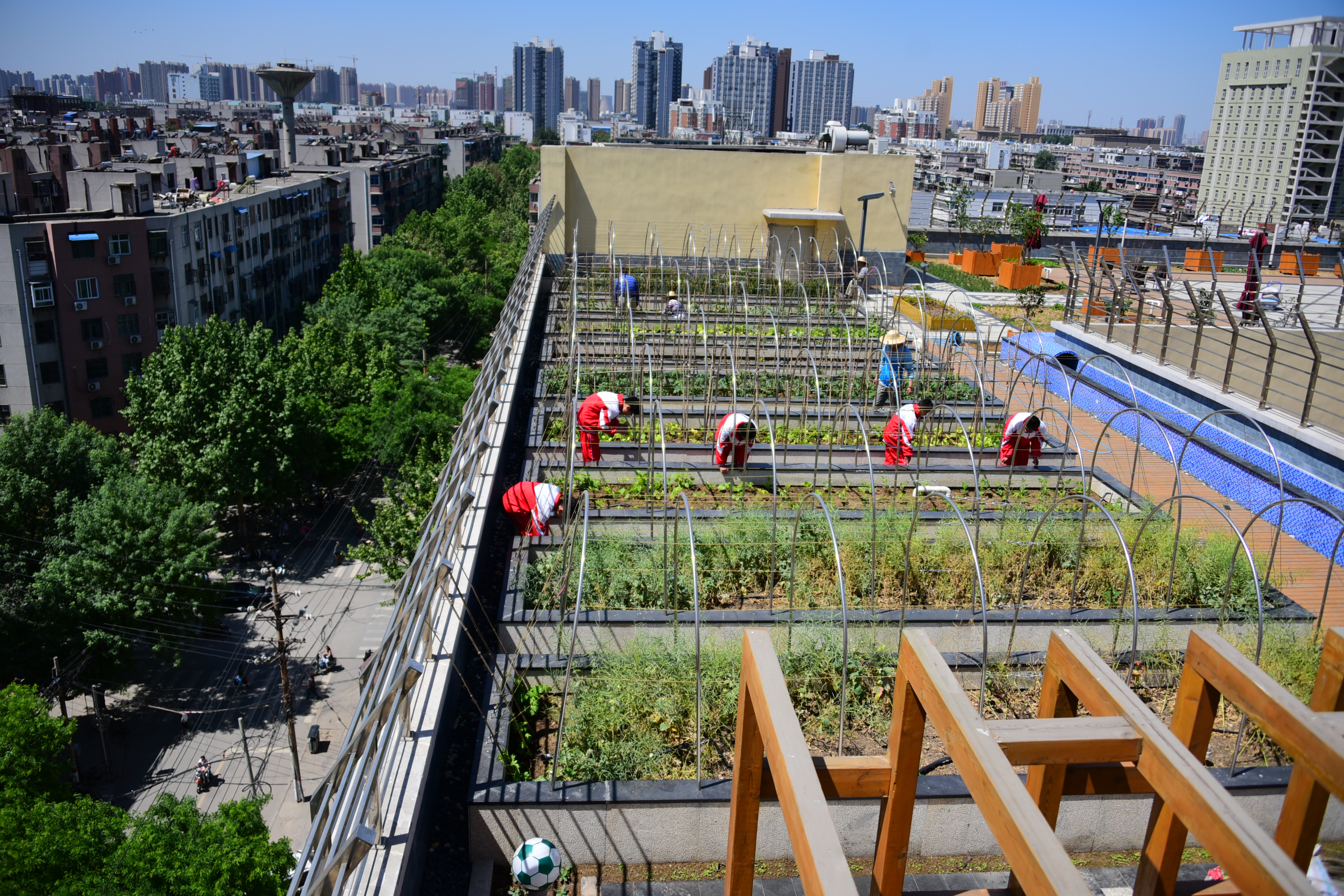 郑州31中和103中中考报名费用,2020年郑州中招录取分数线