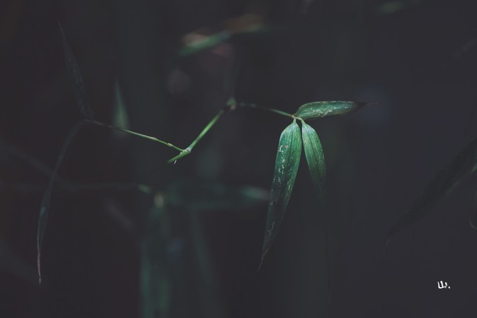 心中有桃花源何处都是山水间,心中若有桃花源何处是水云间