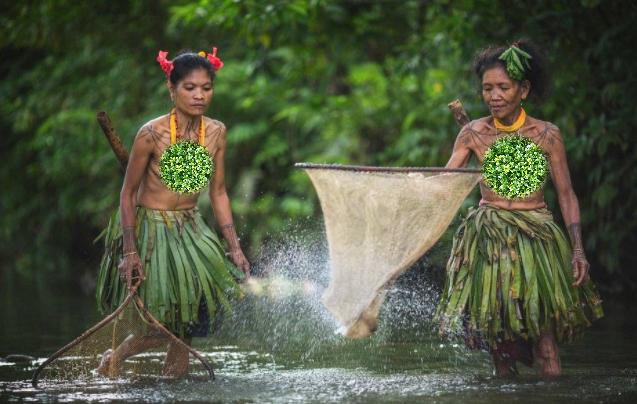印度尼西亚的华人现状,印度尼西亚真实视频