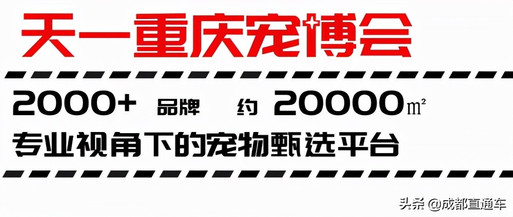 重庆24年宠物展,第四届国际宠物展重庆