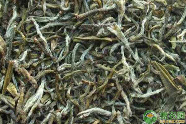 毛尖茶多少钱一斤啊,毛尖属于什么茶值多少钱