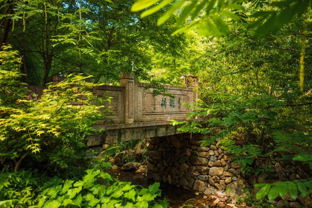 夏天好去处清凉避暑游金华,旅游风油精