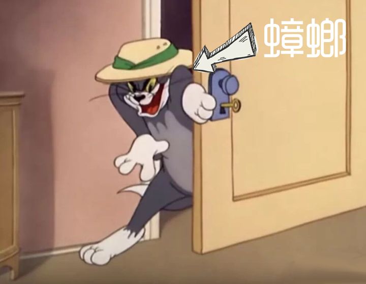 夏天的实用好物,那些你不知道的平价好物