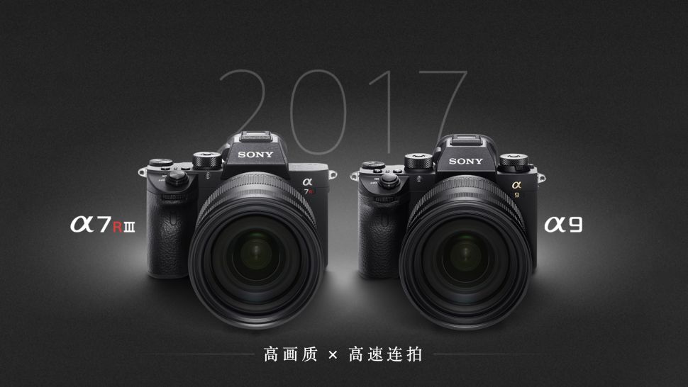 索尼10周年纪念,索尼10周年双11