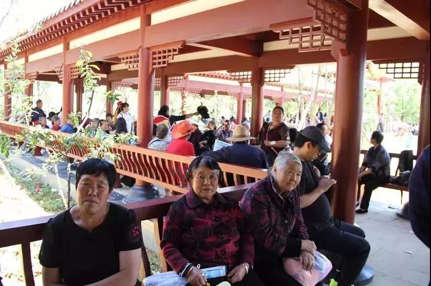 打卡金海湖湿地公园,金海湖湿地公园一日游攻略