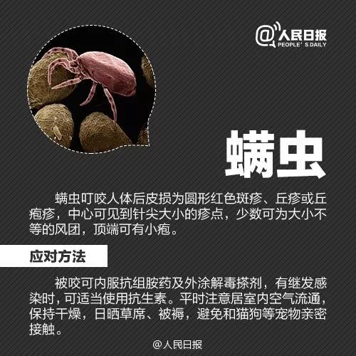 被毒虫咬伤进icu,被虫咬进icu