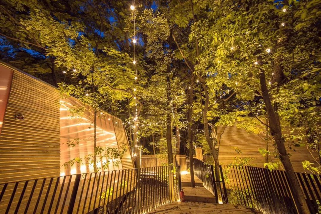 冬天四川旅游十大必去景点,四川冬日旅游景点推荐