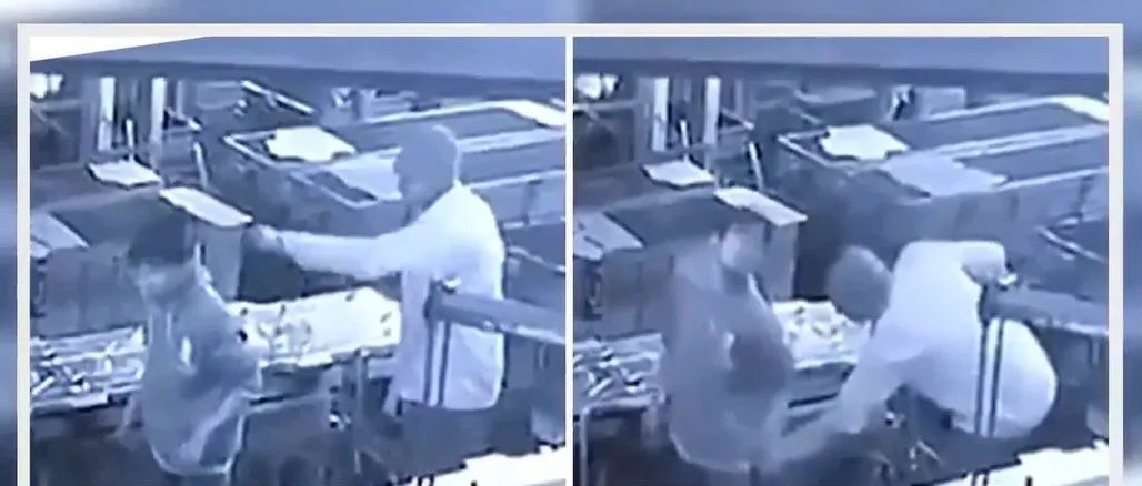 血的教训告诉你千万不要随便撸猫,血的教训不要喝醉语录