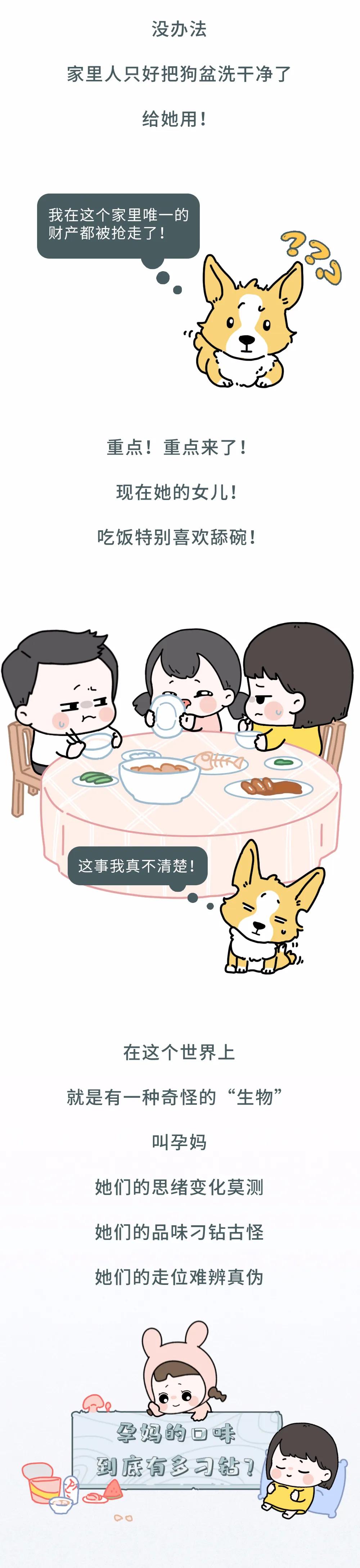 怀孕期间各种奇葩反应,老婆怀孕看见老公脸想吐