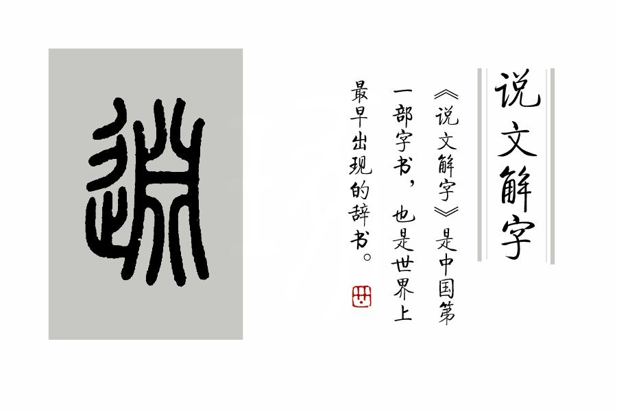 说文解字第346课视频教学,说文解字第262课视频