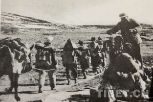 张国华两次拜访，头人答：我别的啥没有，出8000头牦牛怎么样？