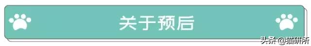弓形虫的感染途径,什么是弓形虫病怎么预防