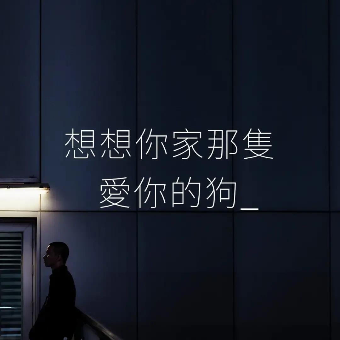 台湾一超市设计80则海报文案，只为把网友弄哭：现在哭，最划算