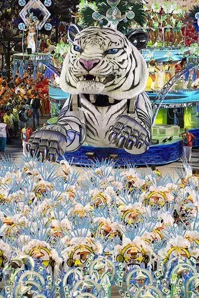 地球最伟大的赛事,地球上最伟大的表演