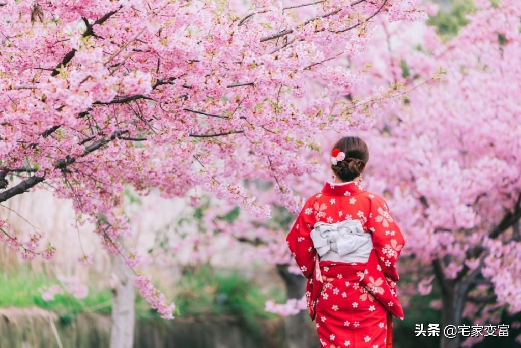 你知道日本人生活的省钱艺术吗，快来看看，能改变你的消费习惯