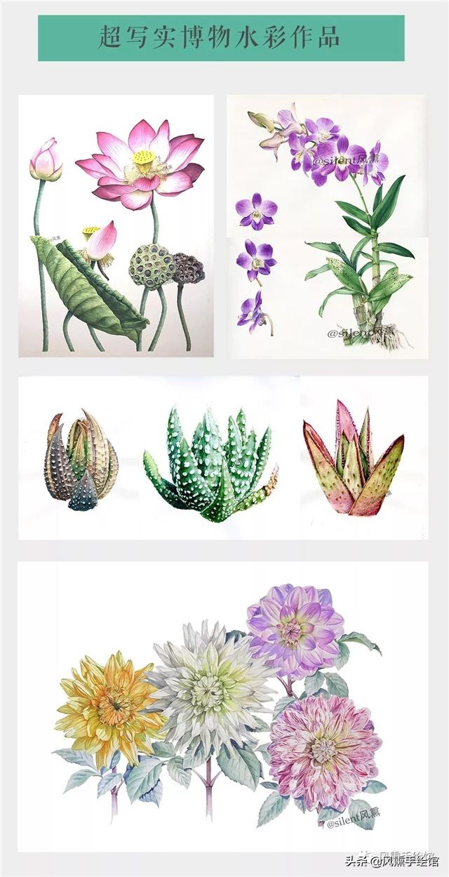 限时0元学画圣诞贺卡，7节干货课程还有大奖拿