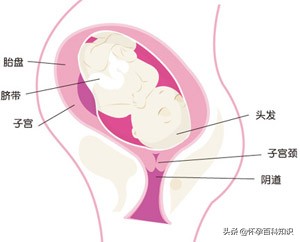 孕妈39周还没生怎么办,孕妇到了几周就不怕早产了