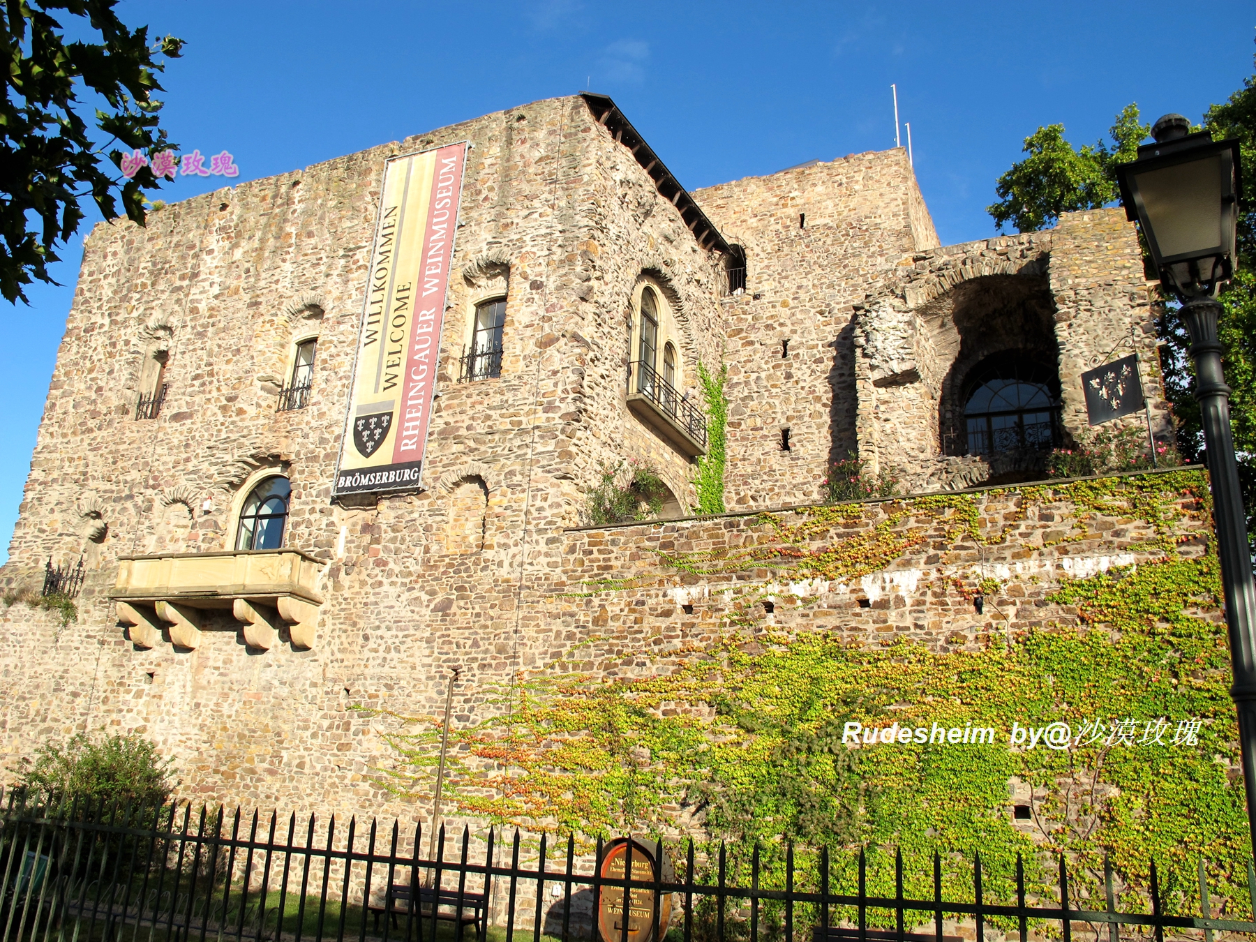 莱茵河葡萄酒小镇,莱茵河畔的葡萄小镇
