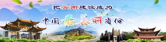 西双版纳泼水节狂欢有这么火吗,西双版纳泼水节活动安排时间地点
