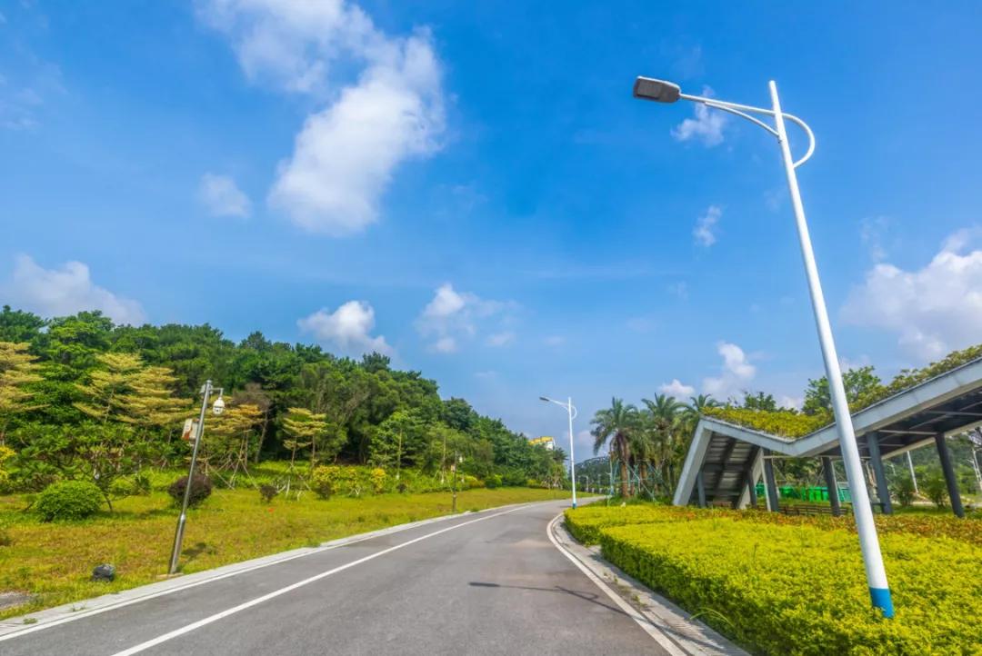 重庆旅游十大攻略自驾游,重庆周边城市三日自驾游最佳攻略