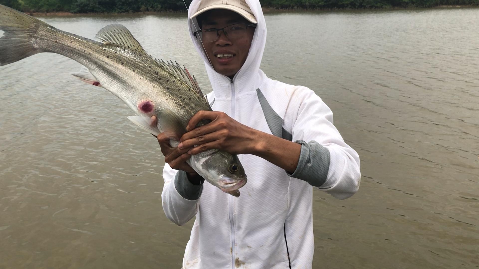 在湛江打工能挣多少钱,在广东钓鱼卖能赚到生活费吗