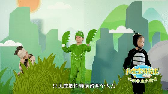 螳螂拳的深度解析,螳螂拳有几种
