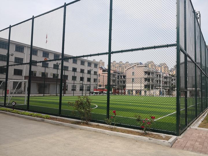 东*江阳**北两个明星小区是如何玩转体育的