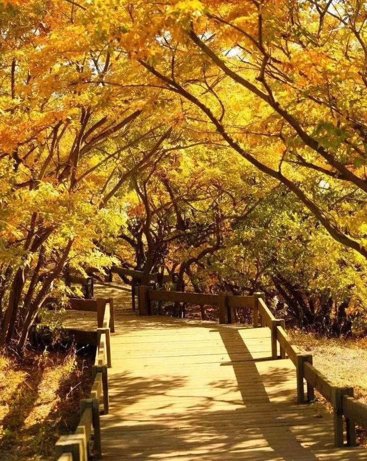 乐亭美景,乐亭小众美景