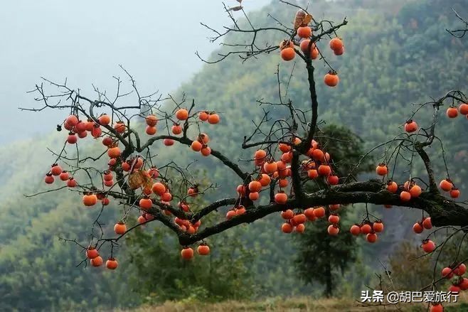 西安骊山环山公路亭子,骊山上的亭子