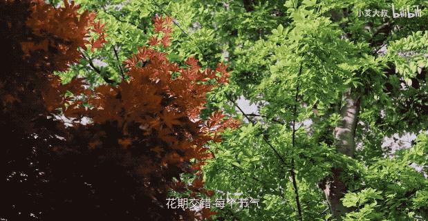 杭州红木家具别墅,杭州中式豪宅红木