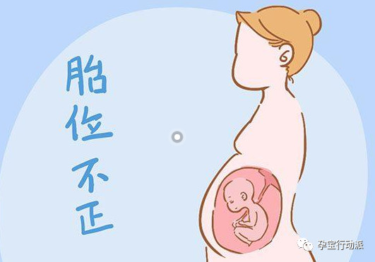 孕期周刊  第三十周