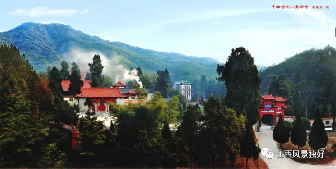 朱虹江西风景独好,朱虹绝代佳人