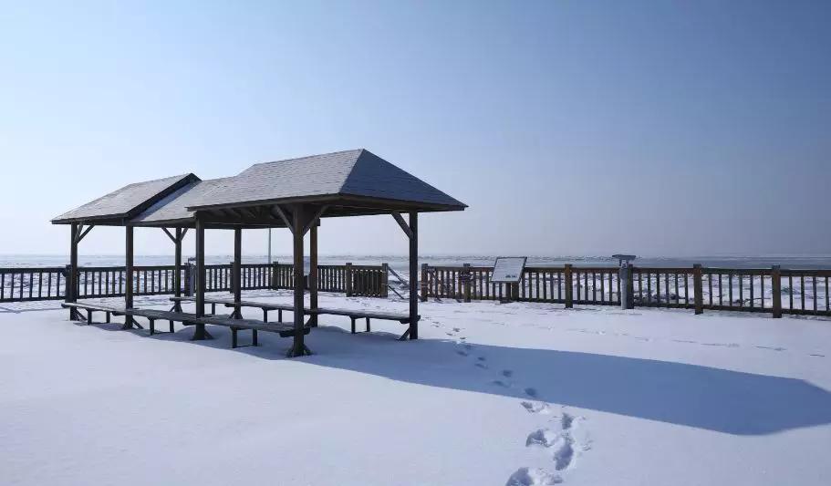 下雪后的海边图片大全,六月份的红海滩