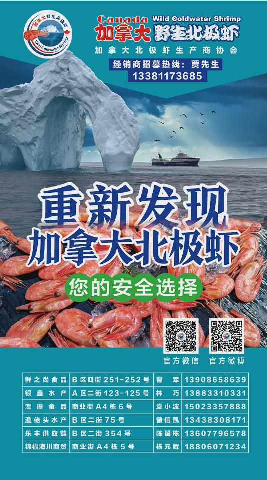 加拿大北极虾广告,加拿大北极甜虾厂家直销