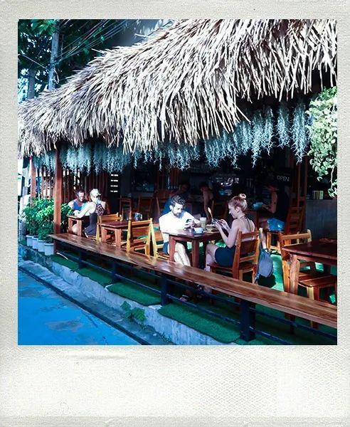 恋恋丽贝岛，人狗情未了|KohLipe