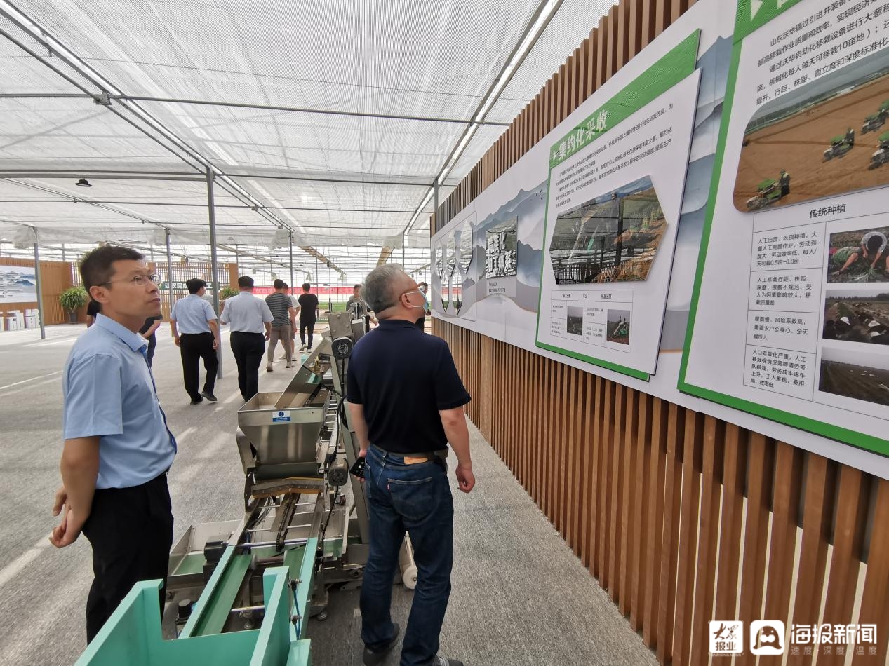 山东沃华农业科技有限公司安丘,山东沃华农业发展