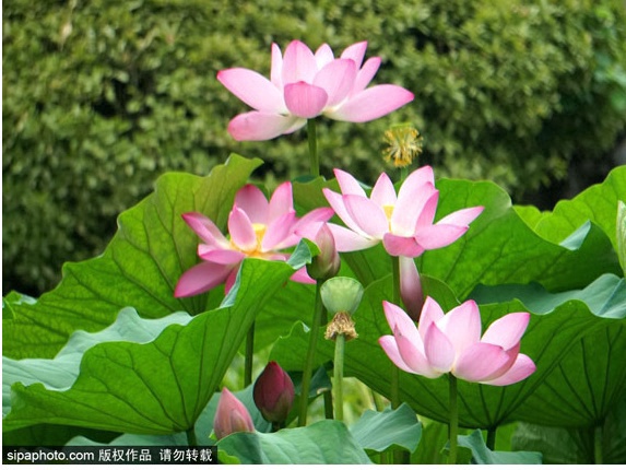 北京南站到哪个景点,北京南站周围有哪些景点