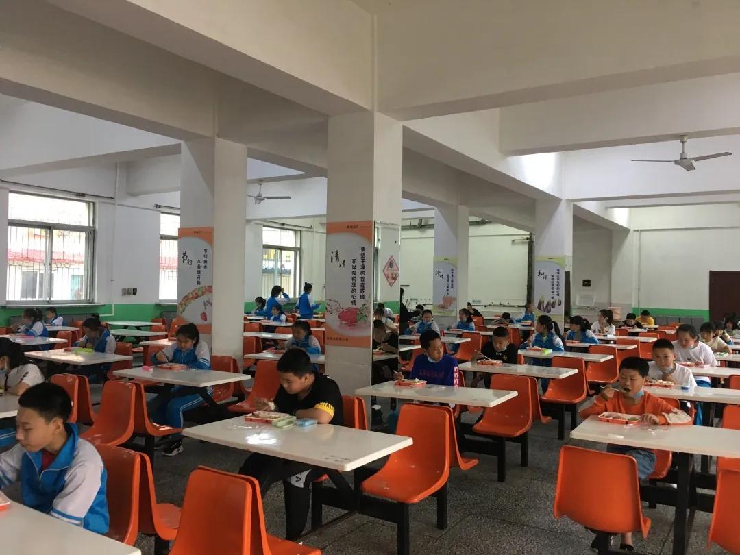 阴阴夏木夏花灿，温馨求实迎生归！——铁岭市求实小学六年级返校微记