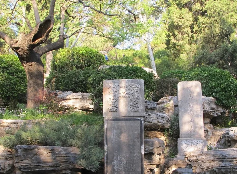 北京四中的办学思想,北京四中初中部教学质量怎么样