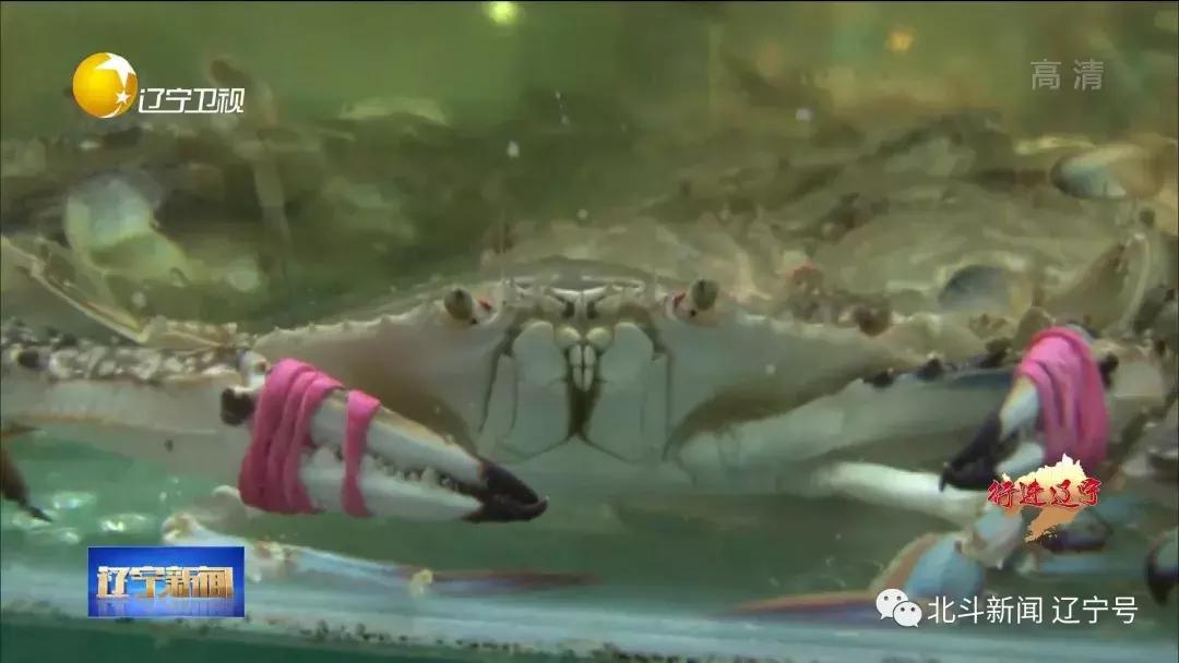 壮丽70年奋斗新时代现场,辽宁省丹东市宣传片大美丹东