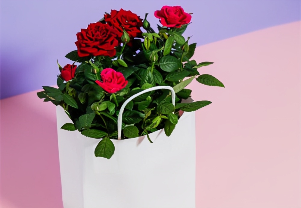 婚外感情中，真爱或许只有一种，学会反观自己，帮你早点放手