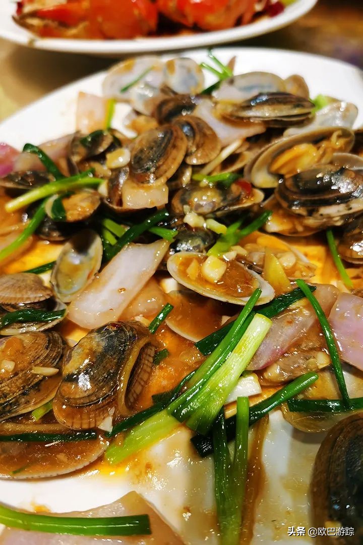 三亚维景国际别墅度假酒店简介,三亚亚龙湾维景国际度假酒店全貌