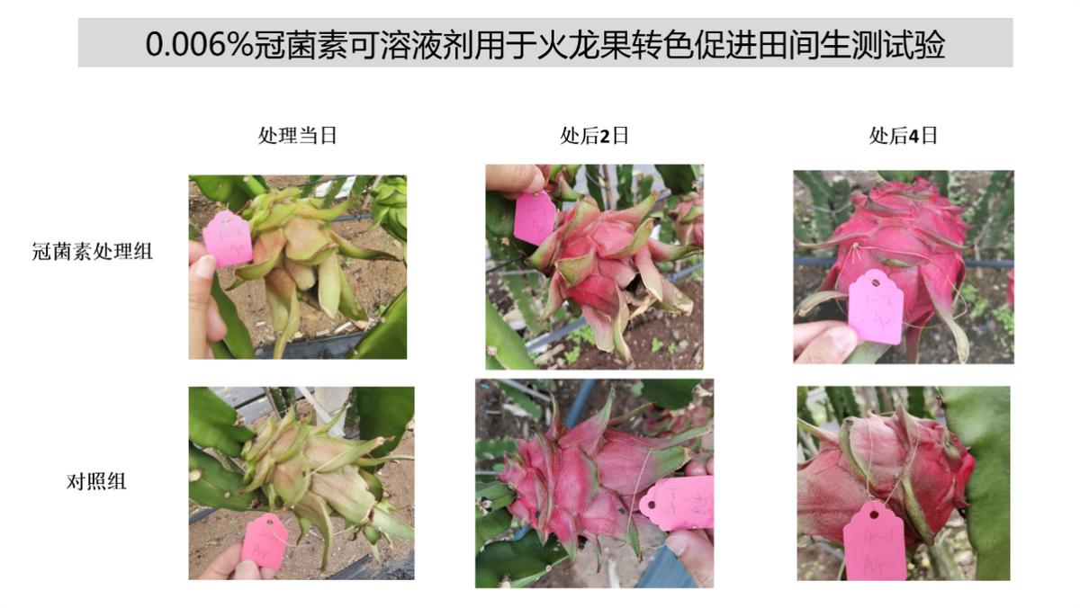 农资领域数十亿的转色增甜市场，谁是“青铜”谁是“王者”？