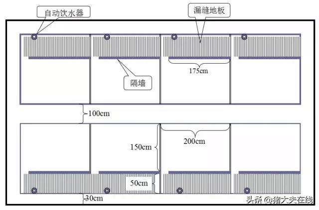 养猪猪舍设计建造,养猪最好的猪舍建造方法